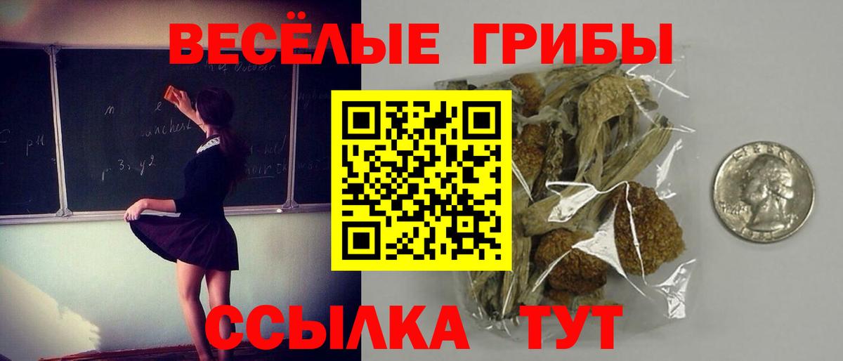 Ессентуки  Псилоцибиновые грибы GOLDEN TEACHER  Вход с VPN  Псилоцибиновые грибы прущие грибы 